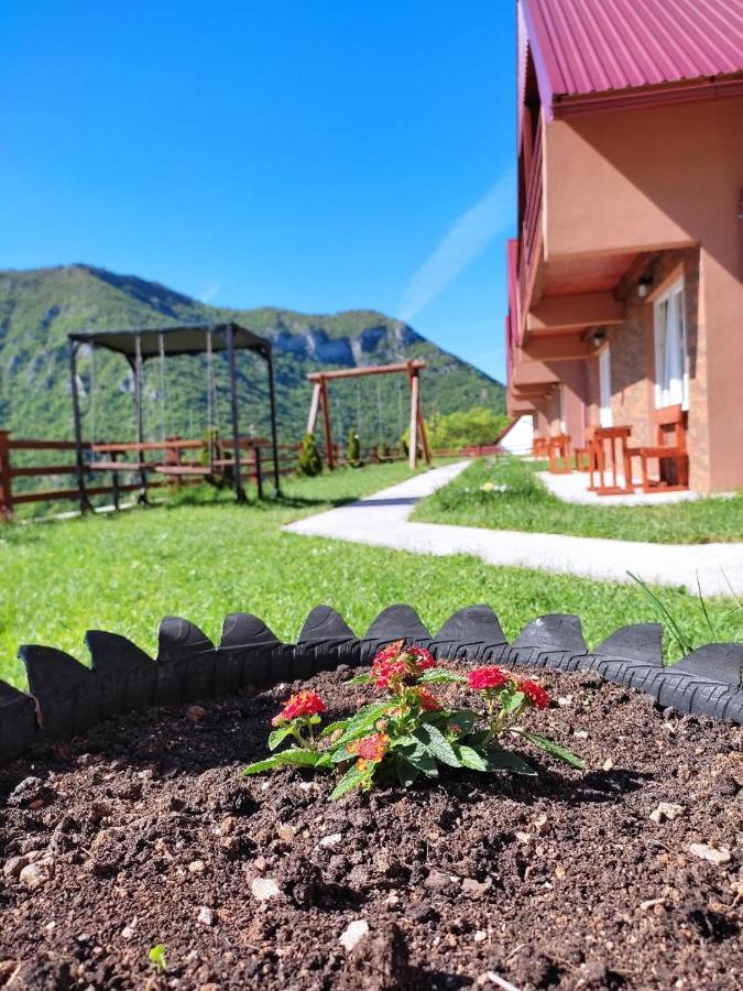 Guesthouse Madzarevic ปลูชิเน ภายนอก รูปภาพ