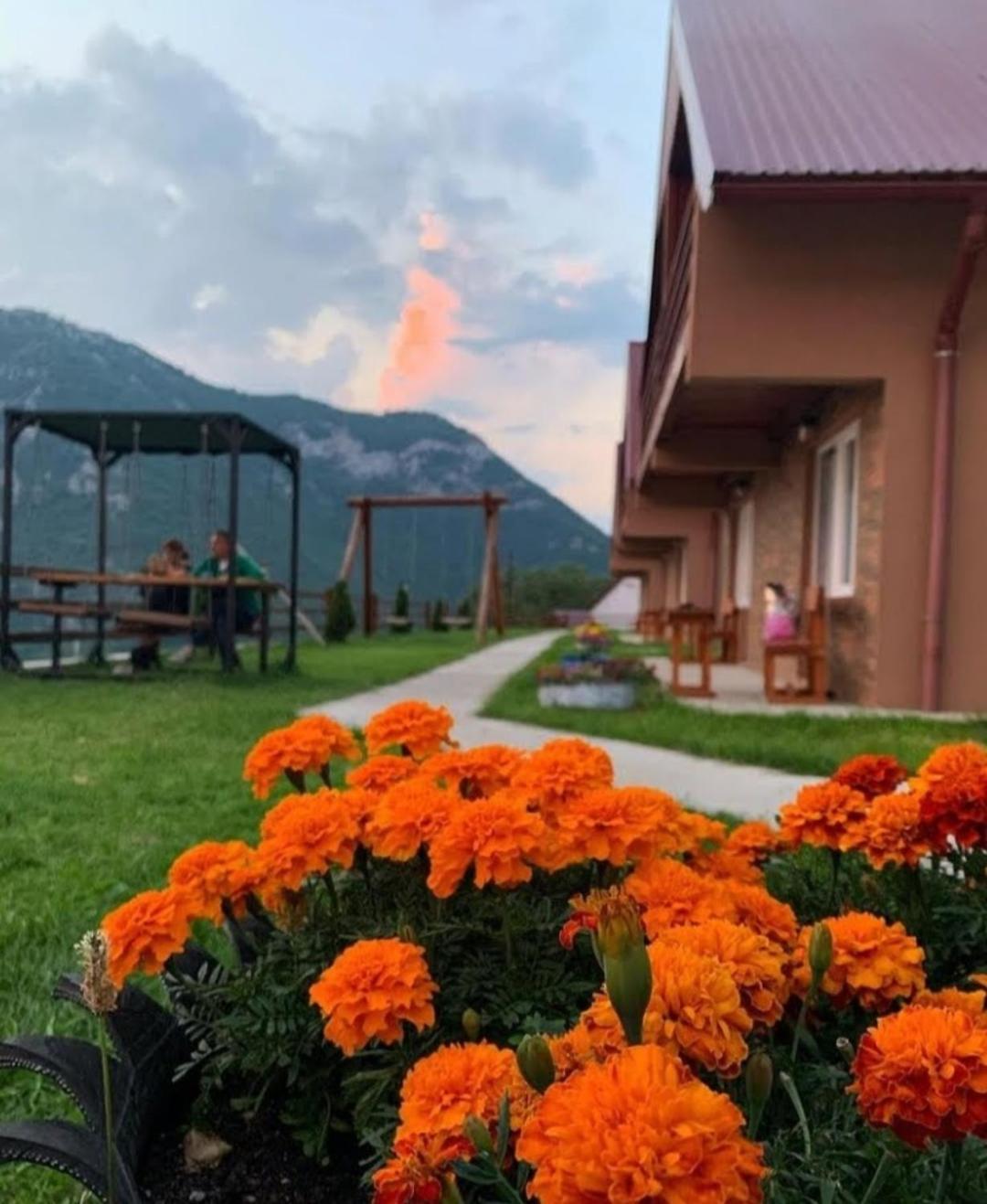 Guesthouse Madzarevic ปลูชิเน ภายนอก รูปภาพ